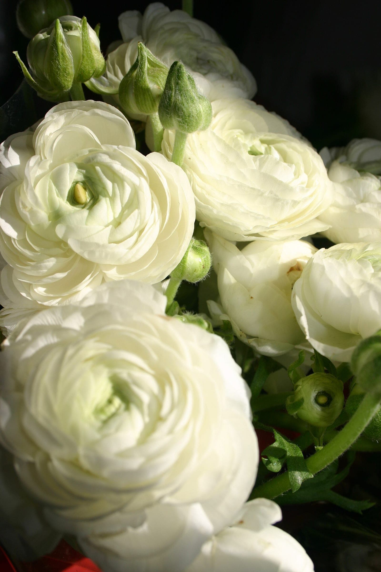 White floral arrangement detail