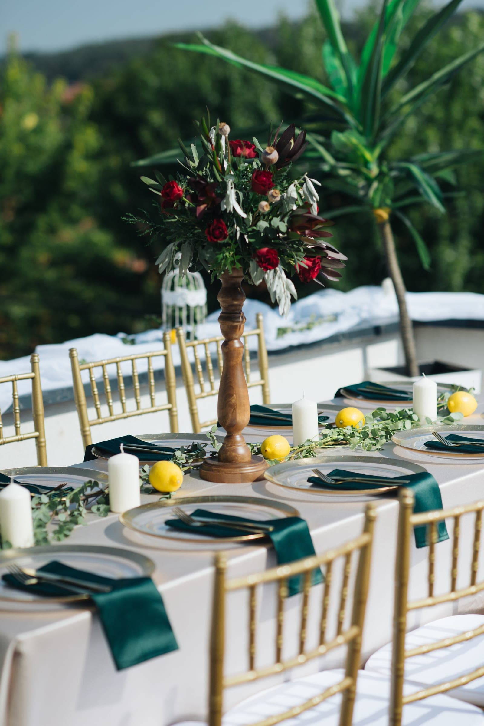 Meera & Rohan's Garden Ceremony